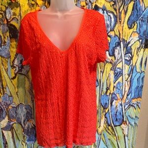 🪸Moda International, Blood Orange, Stretch Lace, V-Neck Short, Sleeve Top in XL